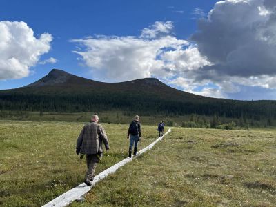 trail-wanderung-schweden-natur