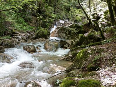 Moggio Schlucht im Valsugana Tal bei Wanderwoche mit Gepcktransport