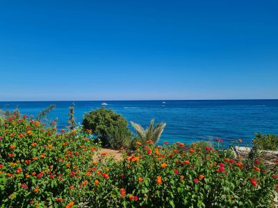 ogaurlaub Strandhotel Zypern Griechenland 