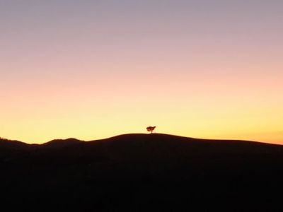 italien urlaub toskana sonnenuntergang