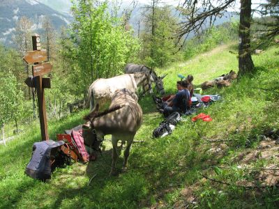 Eselwanderungen: Mittagspause im Parc du Mercantour.