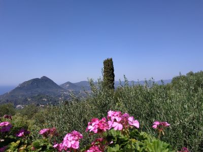 Aussicht von Pelekas Richtung Norden