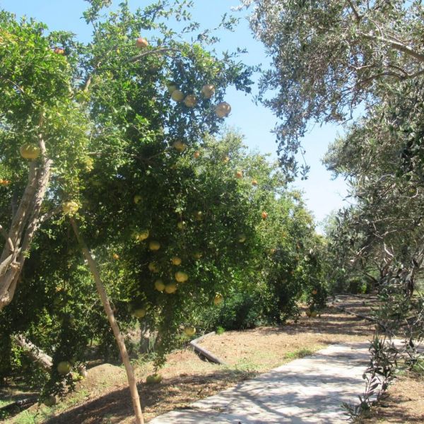 Zypern: Yoga-Urlaub am Strand 