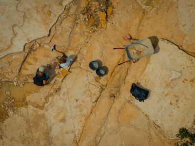 spannende geoexkursionen und fossiliensuche