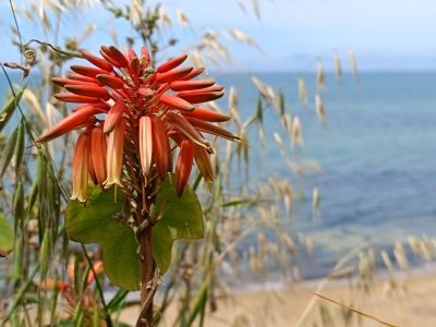 Sditalien Mittelmeer Ferienwohnung Anlage Selbstversorger direkt am Strand