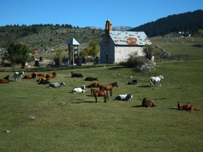 montenegro urlaub mit kindern natur