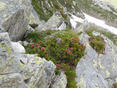 Bergwandern Trekking in den italienischen Alpen