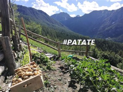 bio urlaub garten nachhaltig 