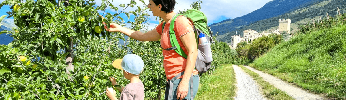 individuelle wanderwoche fr familien mit gepcktransport in sdtirol vinschgau 