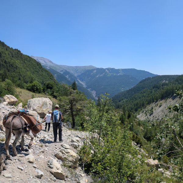 Eselwandern in Frankreich - Provence -  S�dalpen