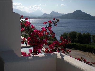 Bougainvillea Kreta Meerblick