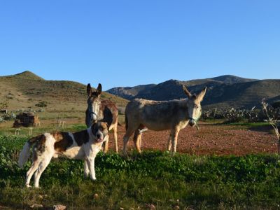 natur urlaub spanien mittelmeer cabo de gata