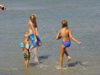 ferien auf dem bauernhof am meer in schweden