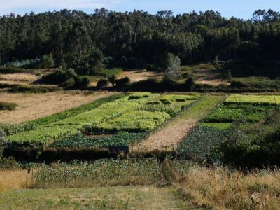 Urlaub Familie Portugal Kinder Landurlaub anders nachhaltig