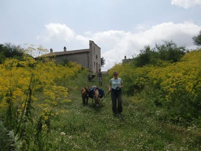 Sommerurlaub mit Tieren Abruzzen Bergferien