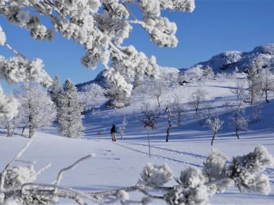 Schweden Winterurlaub Idre Langlaufen