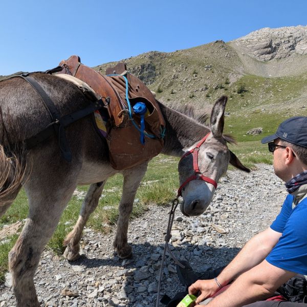 Eselwandern in Frankreich - Provence -  S�dalpen