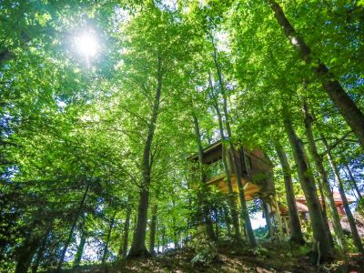 slowenien familienreise aktivurlaub na skaluc baumhaus abenteuer