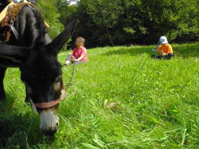 wandern mit eseln deutschland mit kindern