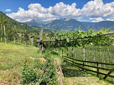 naturnaher urlaub umweltbewusst unterwegs ohne gepck