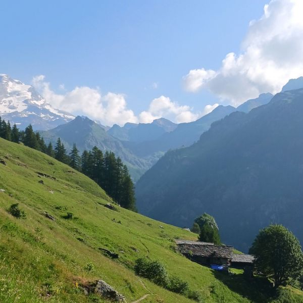 Bergwandern ohne Gep�ck im Valle del Lys - Aostatal