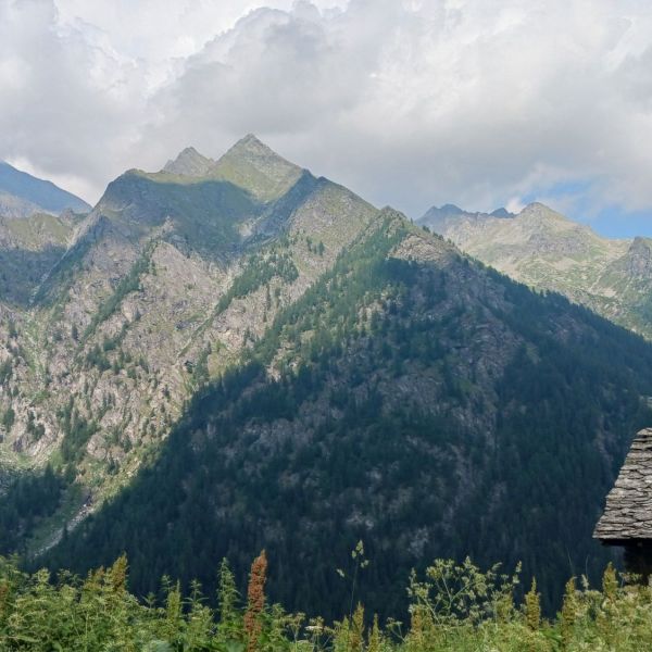 Bergwandern ohne Gep�ck im Valle del Lys - Aostatal