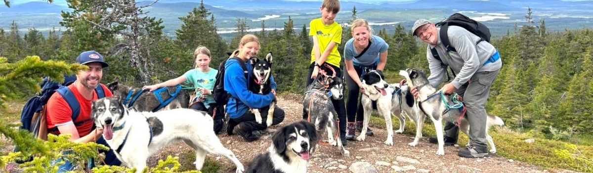 Familienurlaub Schweden Coolcation Sommerurlaub Schlittenhunde