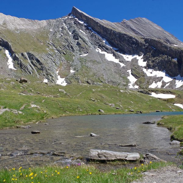 Wandern im Naturpark Queyras - S�dalpen/Frankreich