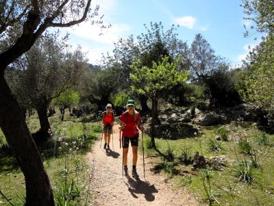 wandern ohne gepck mallorca deia postweg