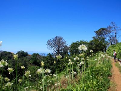 Individuelle Wanderung auf Madeira mit Gepcktransfer