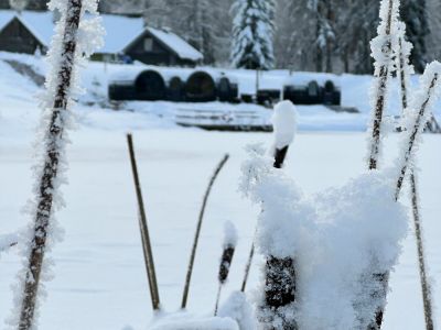 Familienreise Estland Winter Schnee