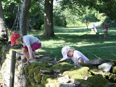 ferien auf oeland in schweden familienzeit mit tieren