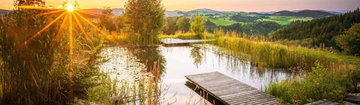 yoga urlaub auszeit muehlviertel altenfelden kleebauerhof sterreich