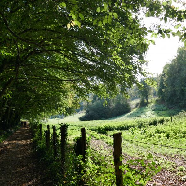 Frankreich - Wandern ohne Gepck in der Normandie