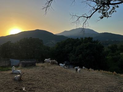 meer wandern radfahren aktiver urlaub in itlaien im cilento