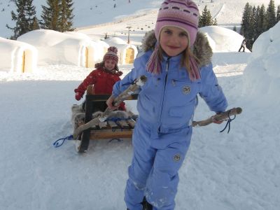 Pferd mit Schlitten ( by Archiv-Alpeniglu-Dorf-Kitzbhel)