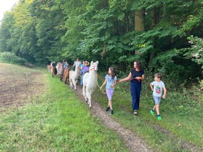 Lama Trekking-Frnkische Schweiz mit Familie