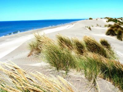 sandduenen am strand