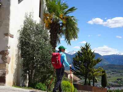 wandern fr familien mit gepcktransport sdtirol vinschgau 