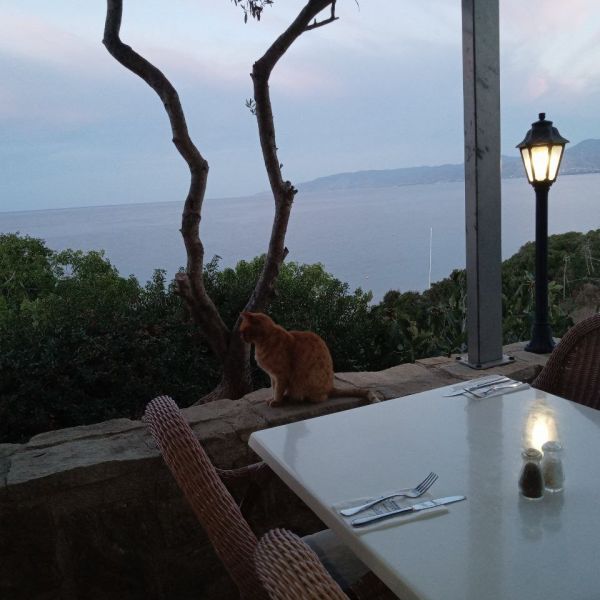 Zypern: Yoga-Urlaub am Strand 