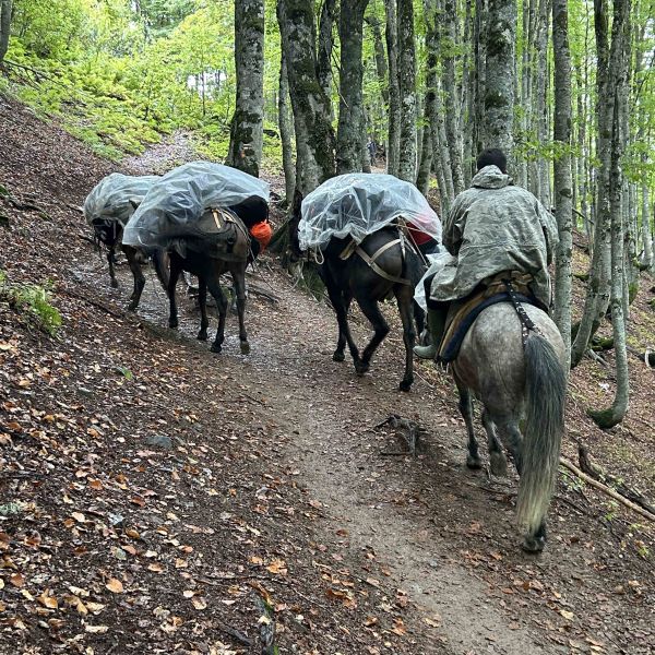 Bergwandern in den Albanischen Alpen 