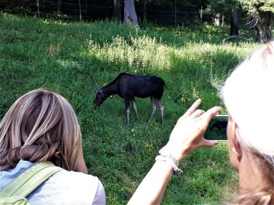 reise in gauja nationalpark kurische nehrung memeldelta