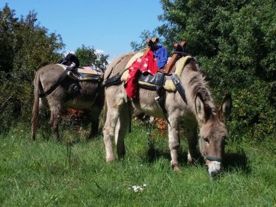 italien urlaub outdoor aktiv urlaub toskana