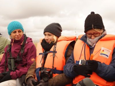 bootstour robben estland kind familie