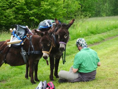 wandern mit dem esel deutschland familienurlaub