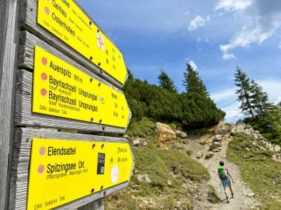 wegbeschilderung im bayerischen wald wanderung mit renatour