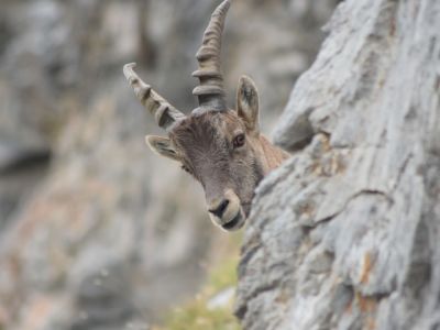 natururlaub im ferienhaus piemont italien