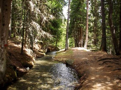 wanderreise val dayas wanderweg markiert