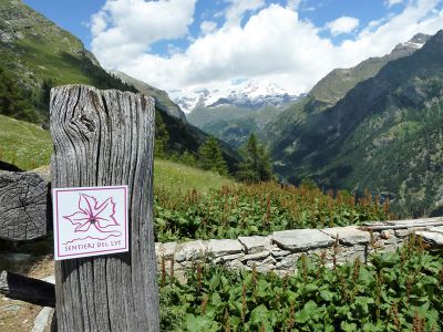 Wanderweg Sentiero de Lys im Aostatal