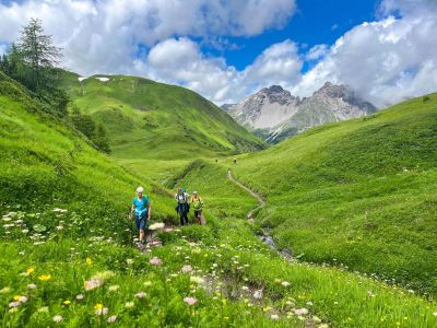 wandernohne-gepaeck steeg landeck almwiesen wanderweg